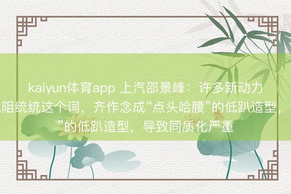 kaiyun体育app 上汽邵景峰：许多新动力汽车为了追求风阻统统这个词，齐作念成“点头哈腰”的低趴造型，导致同质化严重